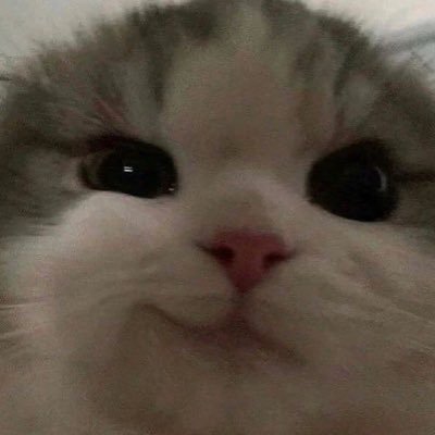 serafettindabbe's profile picture. 