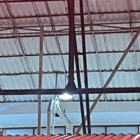 randy law (@randyylaw) 's Twitter Profile
