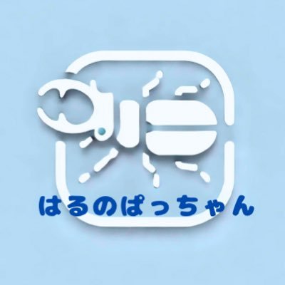 hero718insect's profile picture. 2023年夏からクワガタ飼育開始しました。 情報収集、発信用にアカウント作成。 無言フォロー失礼しますm(_ _)m