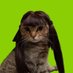 cloridrato de maprotilina ✮ (@lyud__) Twitter profile photo cloridrato de maprotilina ✮ (@lyud__) Twitter profile photo