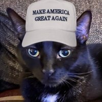 LynyrdsMom (@lynyrds_mom) 's Twitter Profile Photo LynyrdsMom (@lynyrds_mom) 's Twitter Profile Photo
