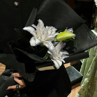Alina (@alina4206) 's Twitter Profile
