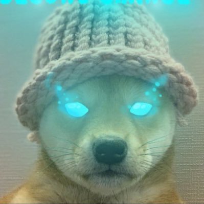 criptochad's profile picture. 