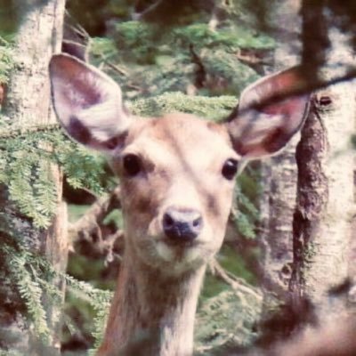 おいしいものとクラフトビールが好き。特に好きなバンドはNirvanaとRadioheadとsyrup16g。絵を学び中。横浜DeNAベイスターズのファン。フォローしていただけると喜びます。