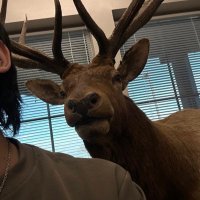 Big G (@meme_arc_hive) 's Twitter Profile