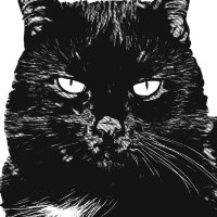 Sev ᓚᘏᗢ (@sevware) 's Twitter Profile