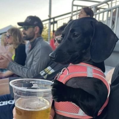 Abidanpr's profile picture. Las cosas simplemente pasan