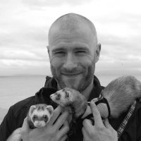 Darragh Mc Donagh (@darraghmcdonagh) 's Twitter Profile Photo