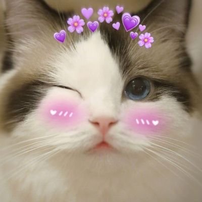 Kokoroさんのプロフィール画像