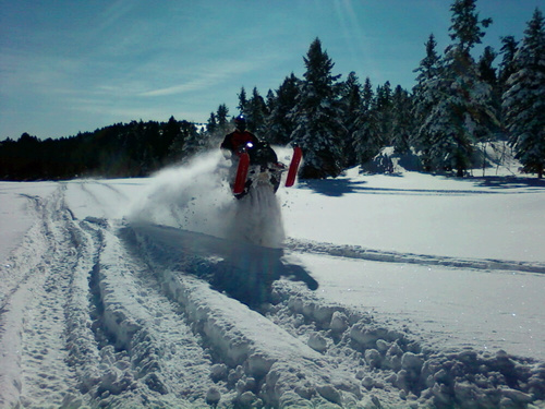 JenksUte's profile picture. 