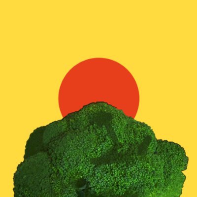 ⍤さんのプロフィール画像