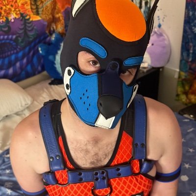 CarrotChaserPup's profile picture. 🔞Eager, Obedient, Dedicated Cumdog Carrot Lover | Bunny Puppy | 32 | He/Him/it/faggot | Atlanta, GA

Bein' the best toy I can be while exploring the world.
