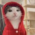 just spicci (@justspicci) Twitter profile photo just spicci (@justspicci) Twitter profile photo