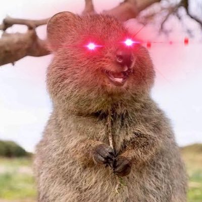 btcquokka's profile picture. Low time preference Quokka. Decentralisation maximalist. Inflation is theft. END fiat.