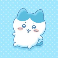 かわ。 (@kawa_chiikawa) 's Twitter Profile Photo かわ。 (@kawa_chiikawa) 's Twitter Profile Photo