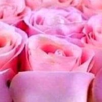 🌱ملکانی 🌱 (@2m_lk4) 's Twitter Profile