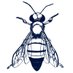 Aurores (@lesaurores) Twitter profile photo Aurores (@lesaurores) Twitter profile photo