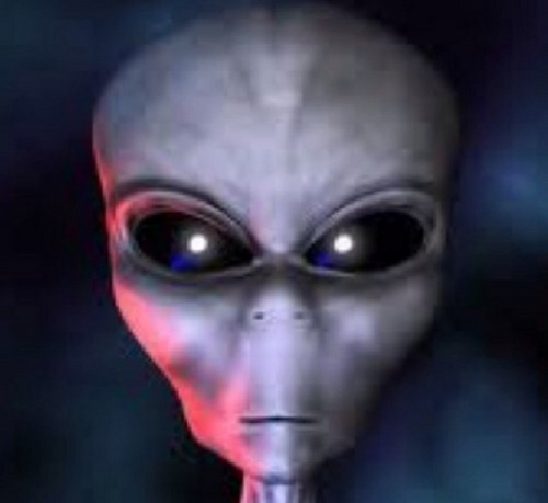 saaaad70's profile picture. 