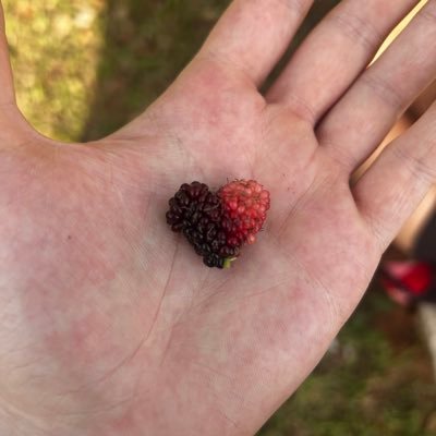 miza_cnetto's profile picture. 