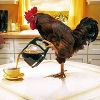 Mrs. Farmer in the Dell 🇺🇸🦅💙🙏🏻🐓💗🐢🦊☕️ (@hallmark541) 's Twitter Profile Photo Mrs. Farmer in the Dell 🇺🇸🦅💙🙏🏻🐓💗🐢🦊☕️ (@hallmark541) 's Twitter Profile Photo