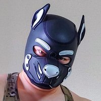 野良犬たかし Pup Norainu (@x272gay) 's Twitter Profile Photo 野良犬たかし Pup Norainu (@x272gay) 's Twitter Profile Photo