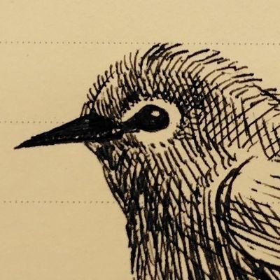 はくさいさんのプロフィール画像