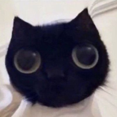 virtualoptimus's profile picture. Very normal about music