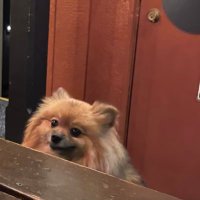 G 🌷 (@curtcomplain) 's Twitter Profile