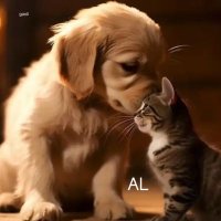 Brooke Davis (@brookedavi7034) 's Twitter Profile Photo