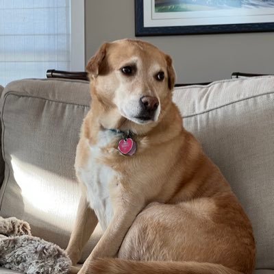 LundyCopter's profile picture. The Ohio State University 2011