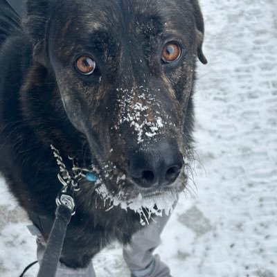 towman60's profile picture. 