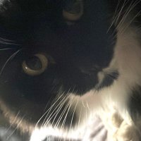 Jolie AP (@joliethinking) 's Twitter Profile Photo