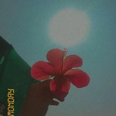 naturevibes2025's profile picture. nature tha best therapy 🌿