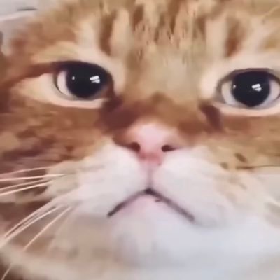 TomJoness322's profile picture. I'm better than you