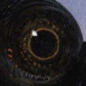 SFT (@strange_f_thing) 's Twitter Profile