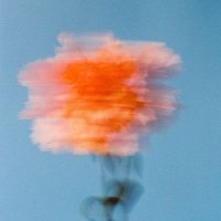 tạ công huy (@tcnghuy) 's Twitter Profile