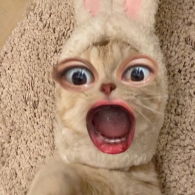 brown_shooky's profile picture. Yeee