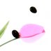 Tepl (@tepl_pl) Twitter profile photo Tepl (@tepl_pl) Twitter profile photo