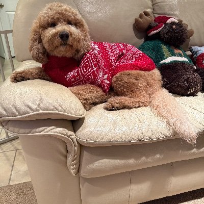 Rsooker1's profile picture. 