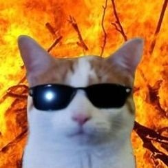 ZapataVive's profile picture. Abogado, Derecho Civil.
FES Acatlán.
Socio fundador y Director de Litigio de la Bahía.