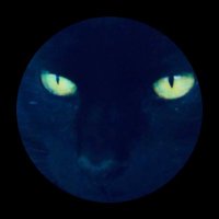 willy (@mtwilly3) 's Twitter Profile