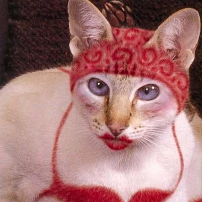 g_minminiminimi's profile picture. 𝓒⋆﹅𓂅𓍼ᯅǂഒଘ𓂅