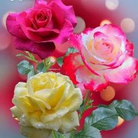 Nirmala Markam (@markam79586) 's Twitter Profile Photo Nirmala Markam (@markam79586) 's Twitter Profile Photo