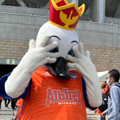 アルビ親子サポ( *´꒳`* ) 2023年後半~パスN民( .. )ホームほぼ参戦✌︎('ω'✌︎ )推し歴2023/2024長倉▷▶︎2025田代/落合舩木ꕤ*.゚❤︎N抽選&取引大歓迎❁⃘*.゚ #アイシテルニイガタ