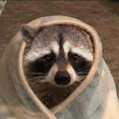 Blonde_Racoonn's profile picture. 