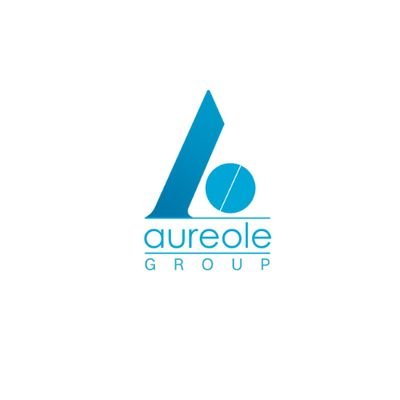 Aureolegroup's profile picture. Innovating Excellence Across Industries | Pharmaceutical, Process Equipment, and More | Together, We Are Aureole Group 🌐