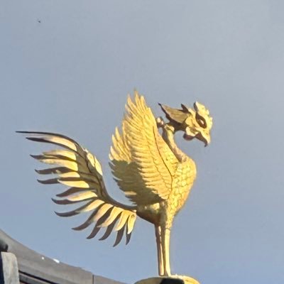 sessatakuma1976's profile picture. 