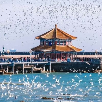 爱这片山海。红瓦绿树是你的底色,碧海蓝天是你的胸怀!互fo 💯💯💯💯💯💯💯💯💯💯💯💯💯💯💯💯💯💯💯💯💯💯💯💯💯💯💯💯💯💯💯💯💯💯💯💯💯💯💯💯💯💯follow back