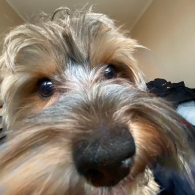 great_ray5's profile picture. 