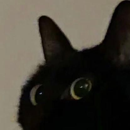 oksusu0013's profile picture. 